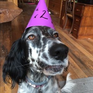 Meet your Posher, Claire